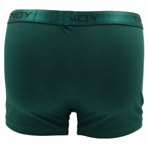 5 PACK TRENDY BOXER TRE-2821