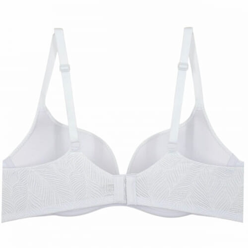 D cup ΣΟΥΤΙΕΝ 3871