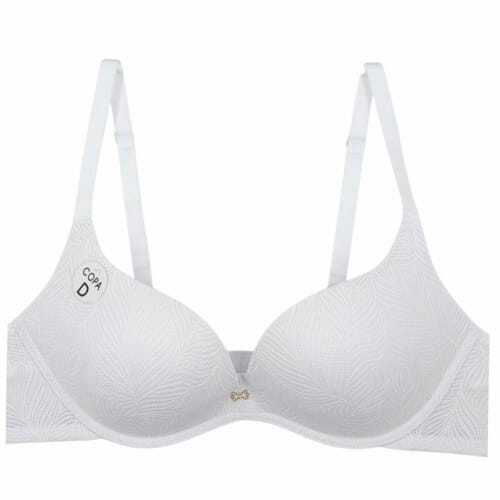 D cup ΣΟΥΤΙΕΝ 3871