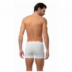 2 PACK MINERVA BOXER SPORTIES 29303