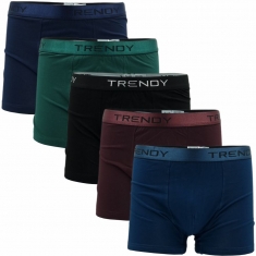 5 PACK TRENDY BOXER TRE-2821