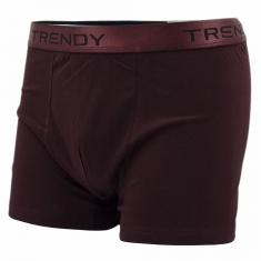 5 PACK TRENDY BOXER TRE-2821