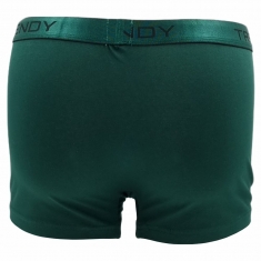5 PACK TRENDY BOXER TRE-2821